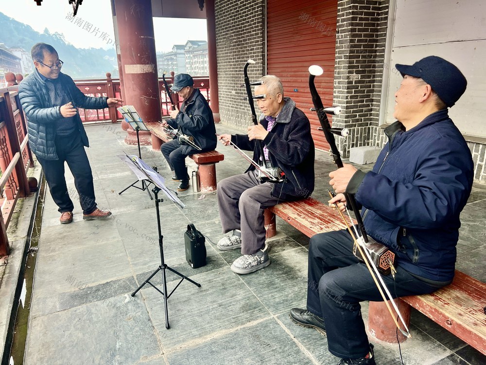 奏响新年“迎春曲”
