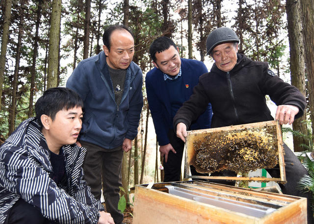 湖南嘉禾：体民情 化矛盾