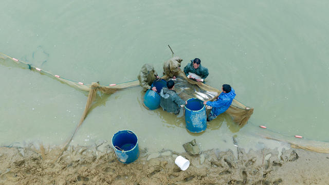 冬捕、乡村振兴