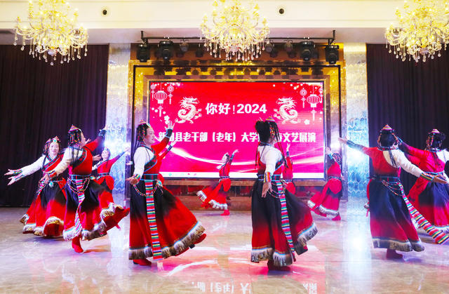 文艺  老年大学  迎新春