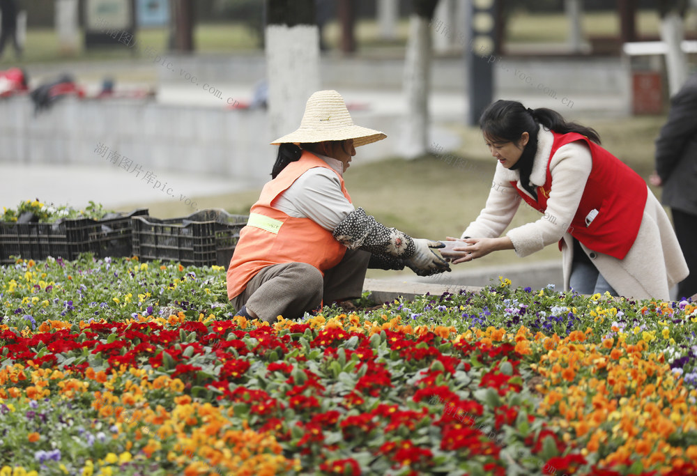 腊八节 腊八粥 志愿者 寒冬 送温暖