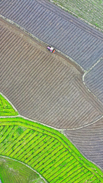 冬耕  翻耕  大寒  农事