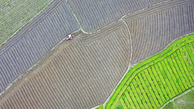 冬耕  翻耕  大寒  农事