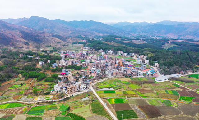 生态  乡村  景美  业兴