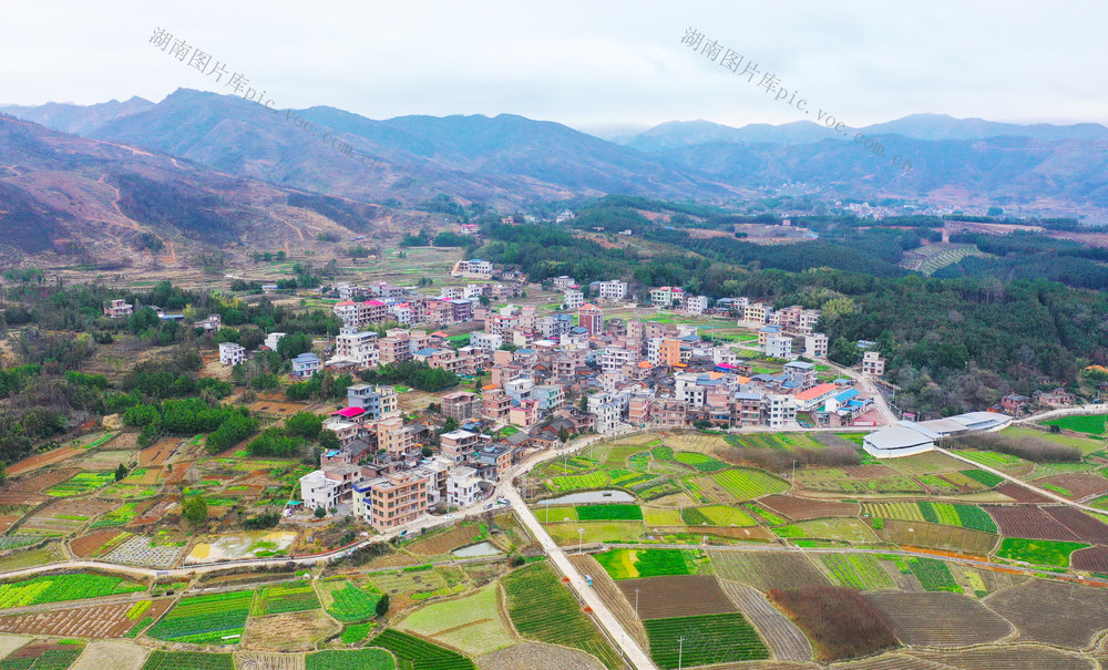 生态  乡村  景美  业兴