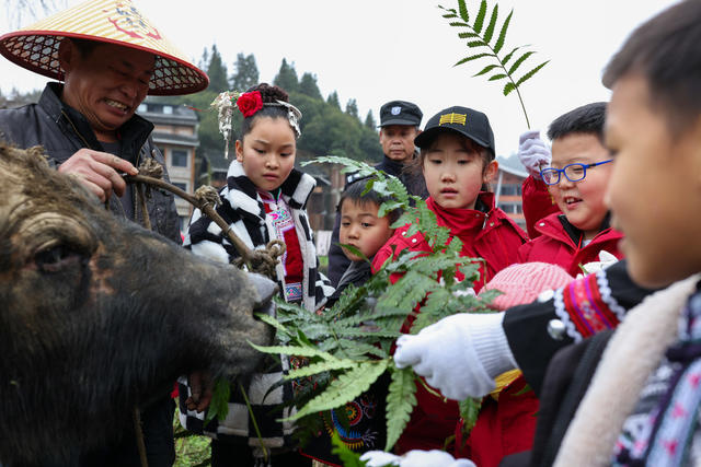 通道县
