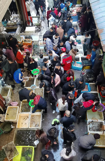 湖南嘉禾：春节市场人气旺