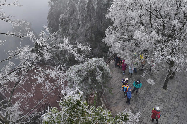 张家界 雾凇 冰挂 天子山
