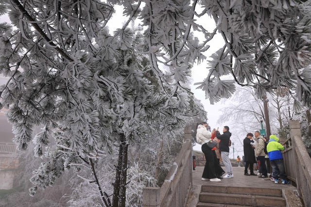张家界 雾凇 冰挂 天子山