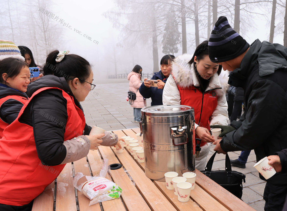 志愿者 张家界 旅游 服务 姜茶