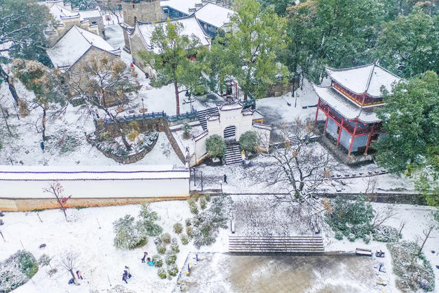 雪景 雪花 冬雪 风景 降雪