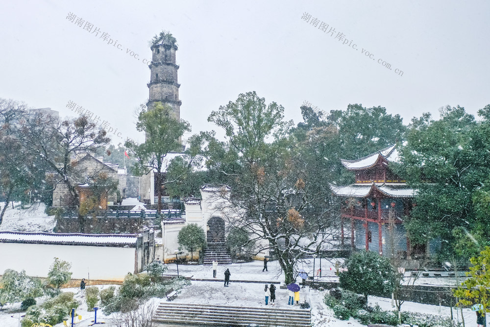 雪景 雪花 冬雪 风景 降雪