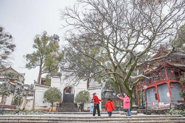 雪景 雪花 冬雪 风景 降雪