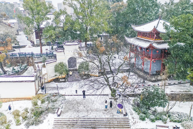 雪景 雪花 冬雪 风景 降雪