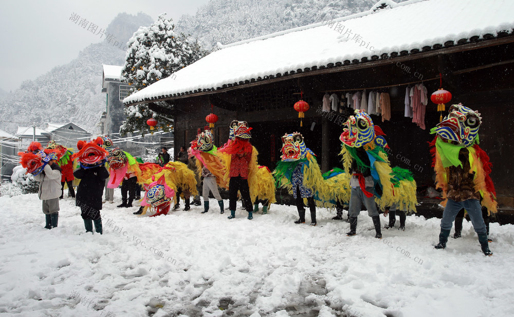 瑞雪 狮子 艺人 新年