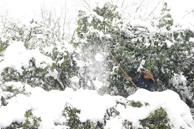 大雪 2024年第一场雪