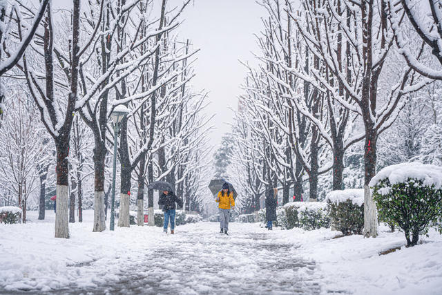 雪景、大学、玩雪