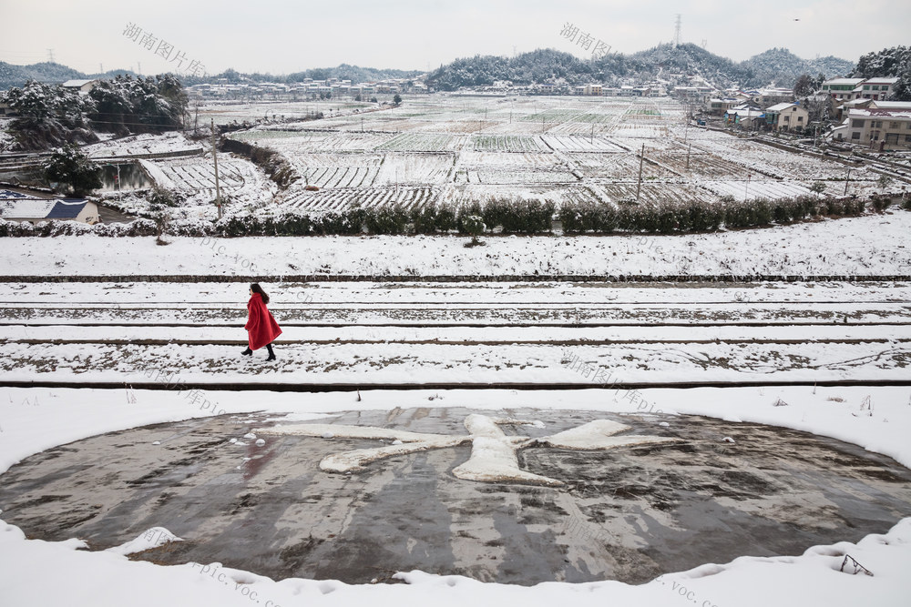 下雪  风光  田野  自然  乐趣