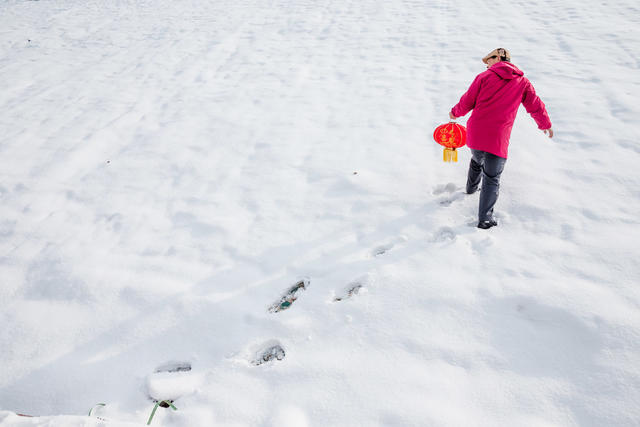 下雪  风光  田野  自然  乐趣