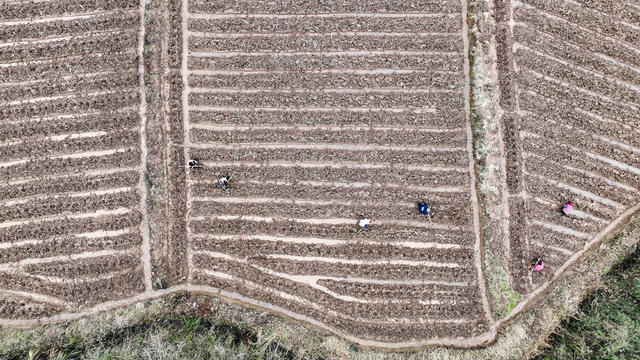 湖南郴州  苏仙区  五里牌  田间地头  人勤春早   备耕  