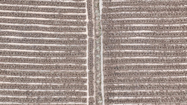 湖南郴州  苏仙区  五里牌  田间地头  人勤春早   备耕  