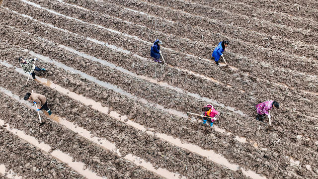 湖南郴州  苏仙区  五里牌  田间地头  人勤春早   备耕  