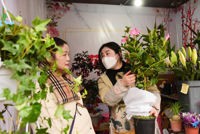 节日  春节  文庙  庙会  年货  文化活动  文化搭台  年货唱戏