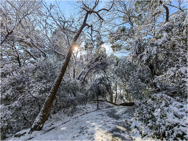 会龙山 雪  