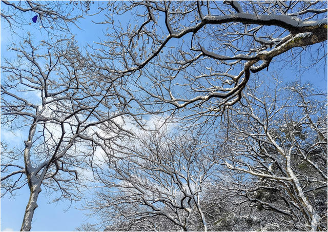 会龙山 雪  