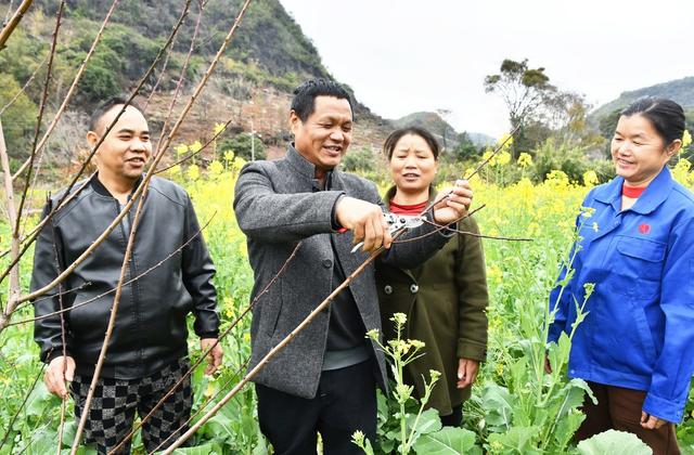 科技示范促农民增收