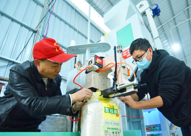 湖南嘉禾：加工生产大米  保障供应市场
