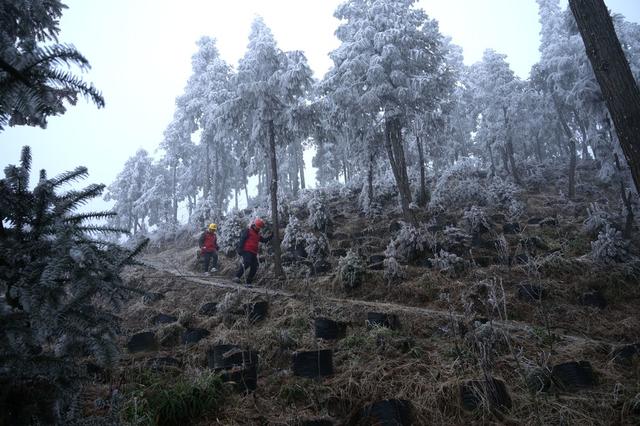 娄底新化 冰冻 巡线 国网娄底供电公司
