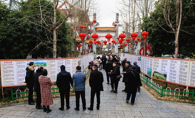 清廉  迎春  诗词  展览    