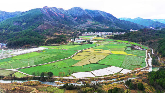 立春  乡村  生态  田园  美景