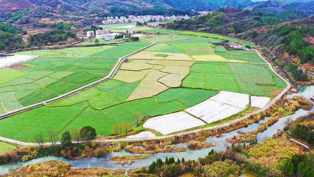 立春  乡村  生态  田园  美景