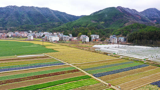 立春  乡村  生态  田园  美景