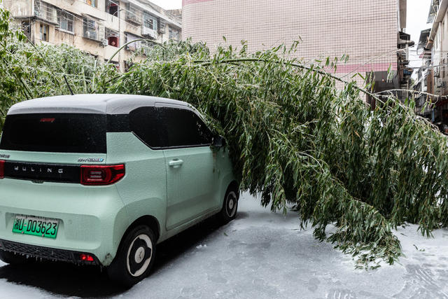 泸溪   遭受  冰冻   灾害