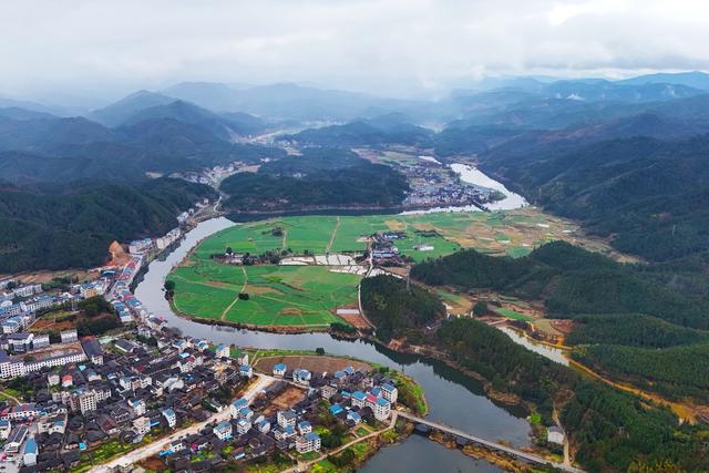 立春、田野、油菜花、春天、农业