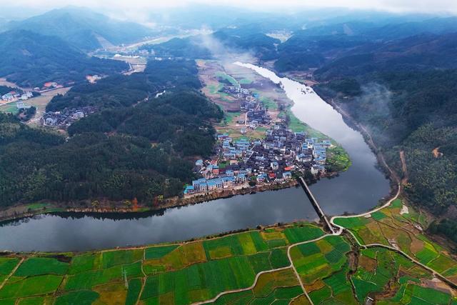 立春、田野、油菜花、春天、农业