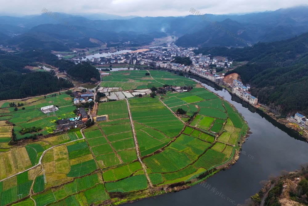 立春、田野、油菜花、春天、农业