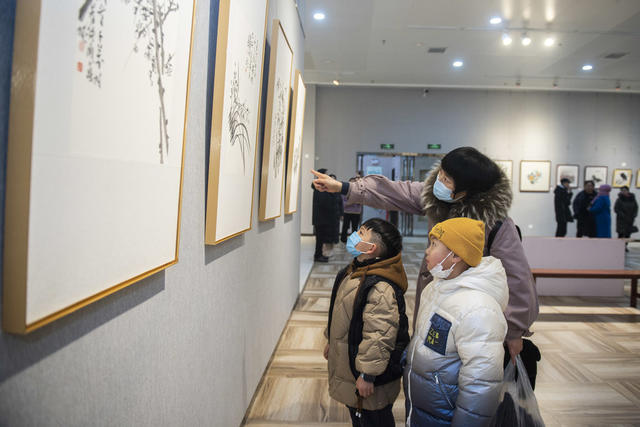 湖南娄底 文化大餐 迎新年 美术展览 春节 花鸟画小品展
