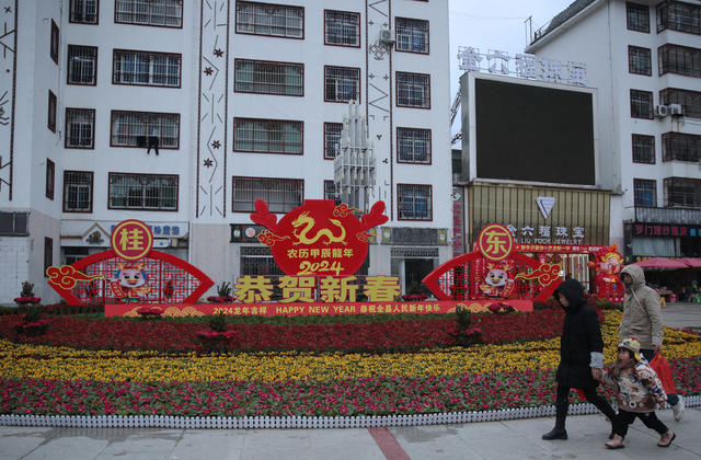 湖南桂东 鲜花 花坛 照相 群众