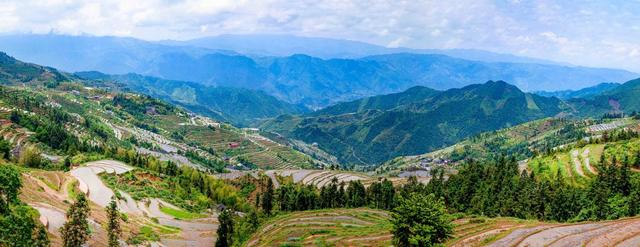 梯田 旅游 风光