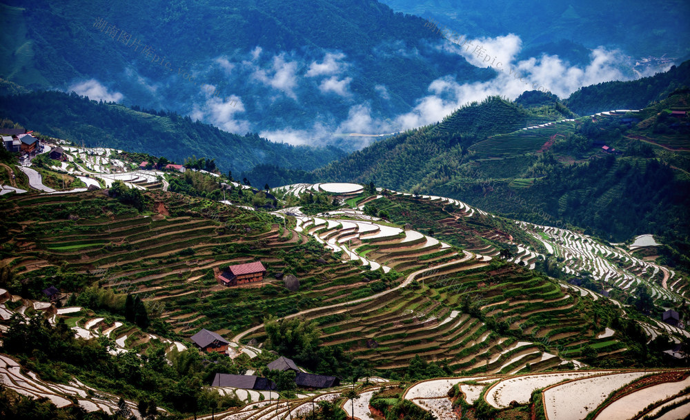 梯田 旅游 风光