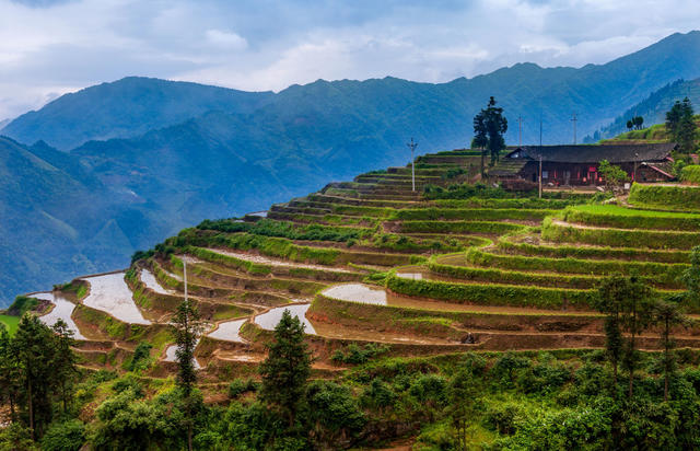 梯田 旅游 风光