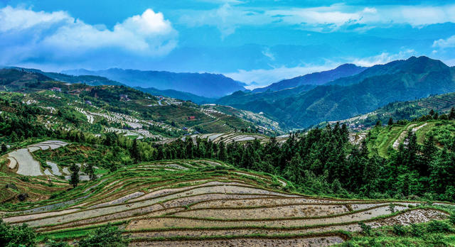 梯田 旅游 风光