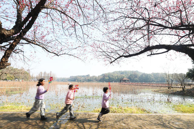 春节 假期 庙会 踏青