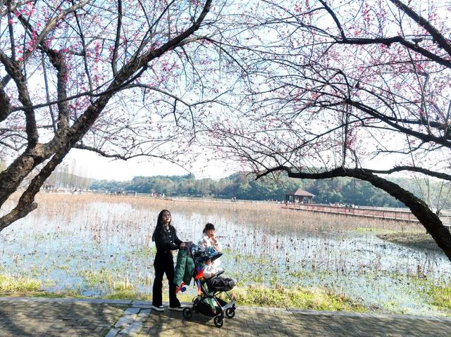 春节 假期 庙会 踏青