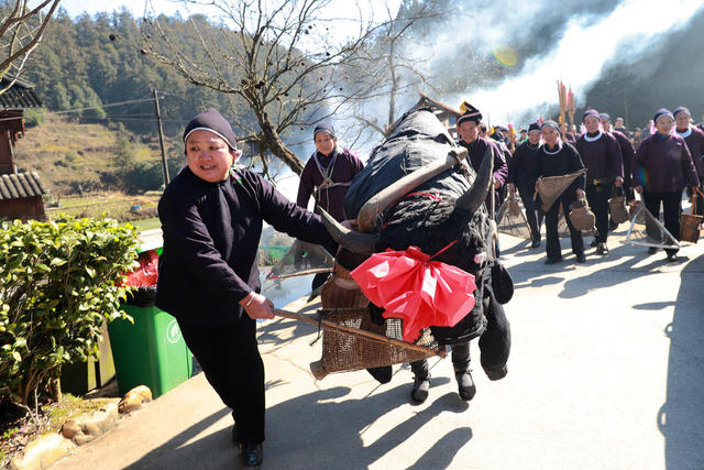 “闹春牛”欢度新春 侗族 传统 习俗 祈愿
