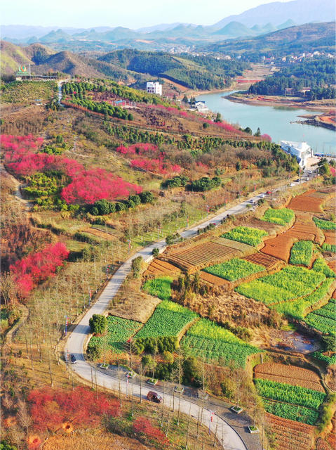 湖南嘉禾：春回大地乡村美